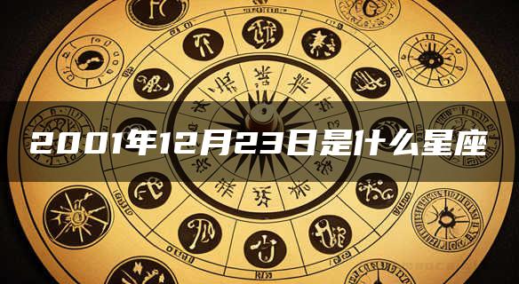 2001年12月23日是什么星座