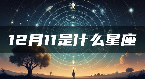 12月11是什么星座