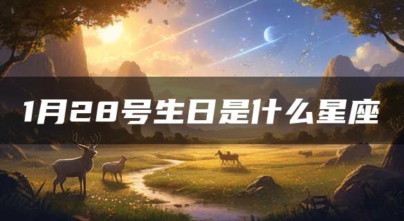 1月28号生日是什么星座