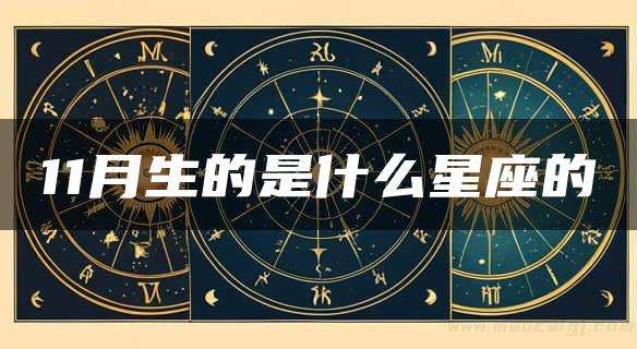 11月生的是什么星座的