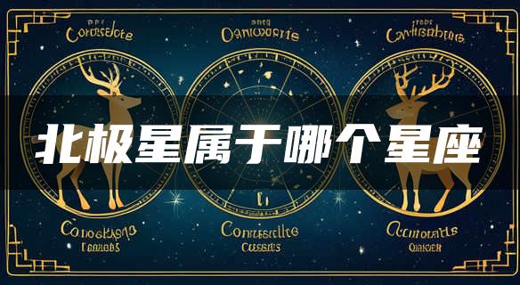 北极星属于哪个星座