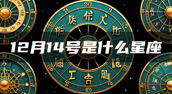 12月14号是什么星座