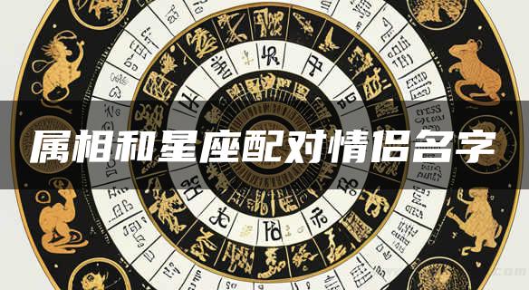 属相和星座配对情侣名字