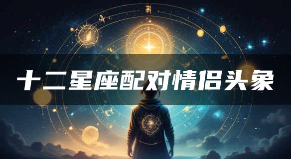 十二星座配对情侣头象